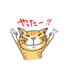 のびまるねこ（個別スタンプ：17）