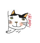 のびまるねこ（個別スタンプ：21）