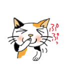 のびまるねこ（個別スタンプ：24）