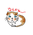 のびまるねこ（個別スタンプ：33）