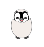 Chubby Penguins（個別スタンプ：1）