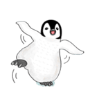 Chubby Penguins（個別スタンプ：15）