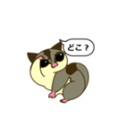 おしゃべりモモンガ（個別スタンプ：10）