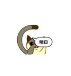 おしゃべりモモンガ（個別スタンプ：11）