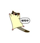 おしゃべりモモンガ（個別スタンプ：16）