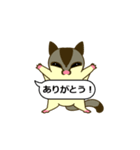 おしゃべりモモンガ（個別スタンプ：25）