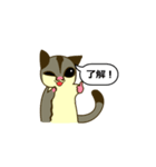 おしゃべりモモンガ（個別スタンプ：28）