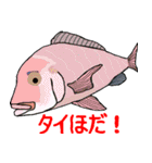 A dull joke of fish and conversation.（個別スタンプ：37）