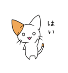 こねこのにー（個別スタンプ：1）