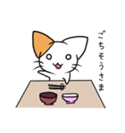 こねこのにー（個別スタンプ：5）