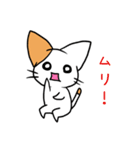 こねこのにー（個別スタンプ：18）