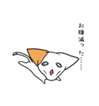 こねこのにー（個別スタンプ：21）