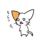 こねこのにー（個別スタンプ：24）