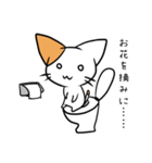 こねこのにー（個別スタンプ：31）