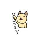 手描き☆ニャニエちゃん☆（個別スタンプ：20）