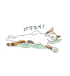 ねこねこにゃんこスタンプ（個別スタンプ：17）