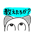 関西弁！ほのぼの猫ちゃん2（個別スタンプ：14）