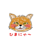 動物の顔スタンプ 日本語版（個別スタンプ：2）