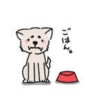 困犬のスタンプ（個別スタンプ：9）