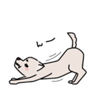 困犬のスタンプ（個別スタンプ：16）