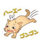 うれシーサー（個別スタンプ：17）