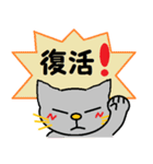 愛着が湧いてくる猫。（個別スタンプ：40）