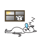 おちゃめなキャットブラザーズ（個別スタンプ：5）