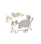 ほんとねこ（個別スタンプ：11）