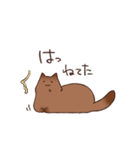 ほんとねこ（個別スタンプ：13）