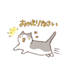 ほんとねこ（個別スタンプ：20）