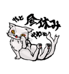 猫又ハクさん（個別スタンプ：2）