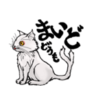 猫又ハクさん（個別スタンプ：4）