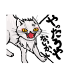 猫又ハクさん（個別スタンプ：10）