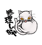 猫又ハクさん（個別スタンプ：27）