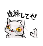 猫又ハクさん（個別スタンプ：34）