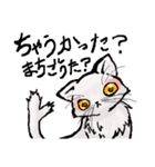 猫又ハクさん（個別スタンプ：35）