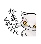猫又ハクさん（個別スタンプ：40）