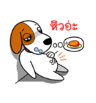 DODO DOG（個別スタンプ：37）