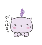 癒やしのラベにゃ（個別スタンプ：37）