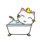 SALID Cat the stirring（個別スタンプ：25）