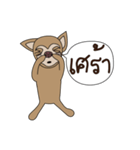 Wasabi Spicydog（個別スタンプ：14）