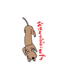 名犬アニー（個別スタンプ：1）