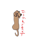 名犬アニー（個別スタンプ：2）