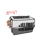 名犬アニー（個別スタンプ：3）