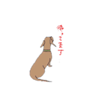 名犬アニー（個別スタンプ：7）