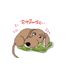 名犬アニー（個別スタンプ：10）