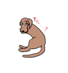 名犬アニー（個別スタンプ：17）