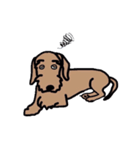 名犬アニー（個別スタンプ：19）