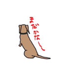 名犬アニー（個別スタンプ：25）