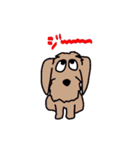 名犬アニー（個別スタンプ：30）